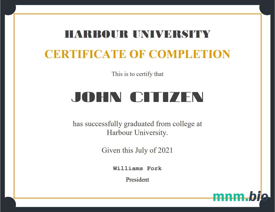 USA Recognition Cert